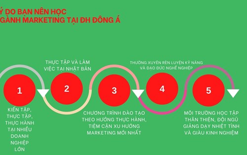 Lý do bạn nên học Ngành Marketing tại ĐH Đông Á
